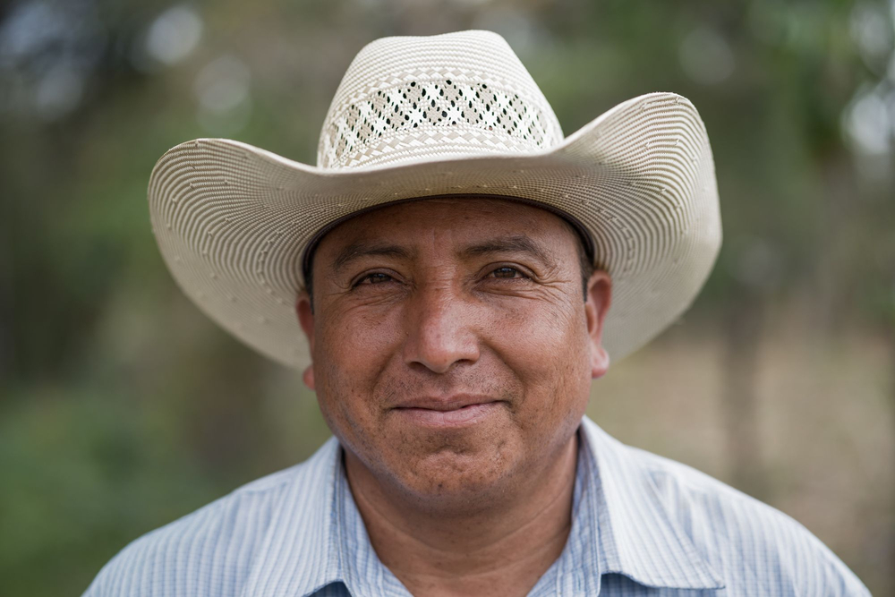 From Farmland to Forests