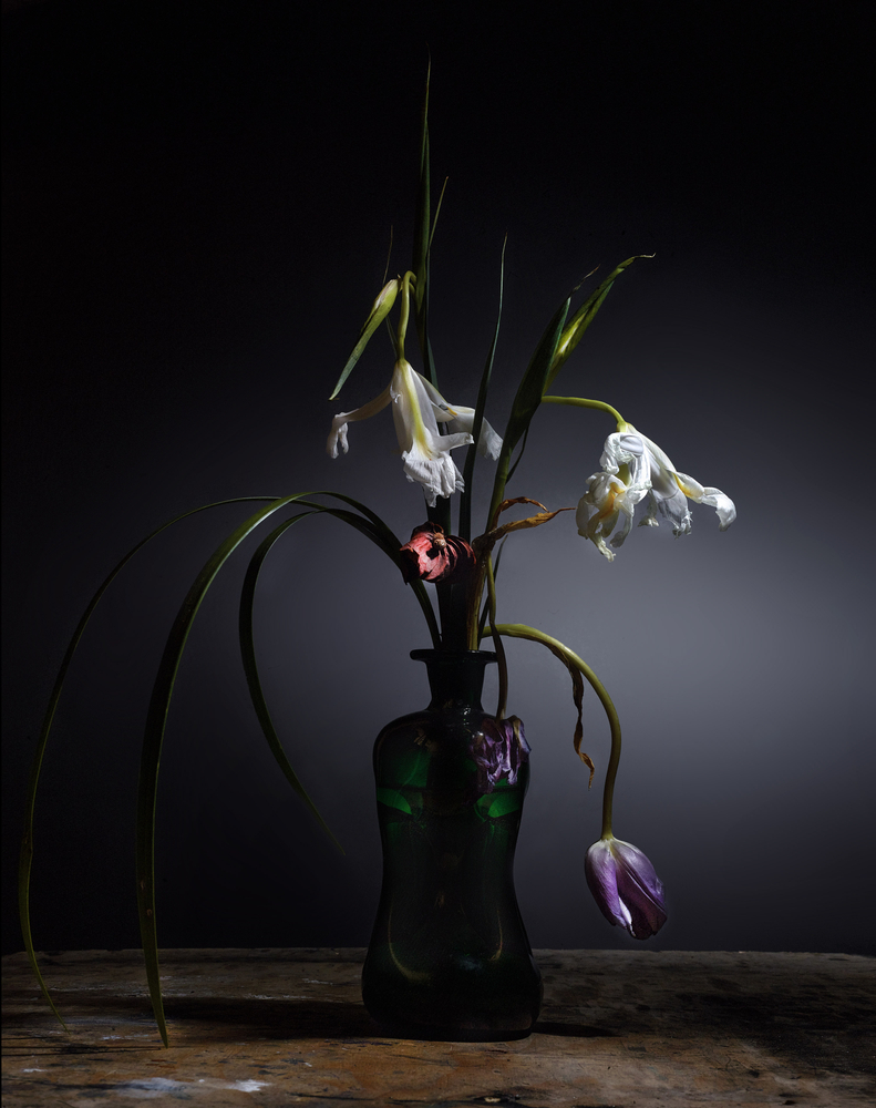 Still Life