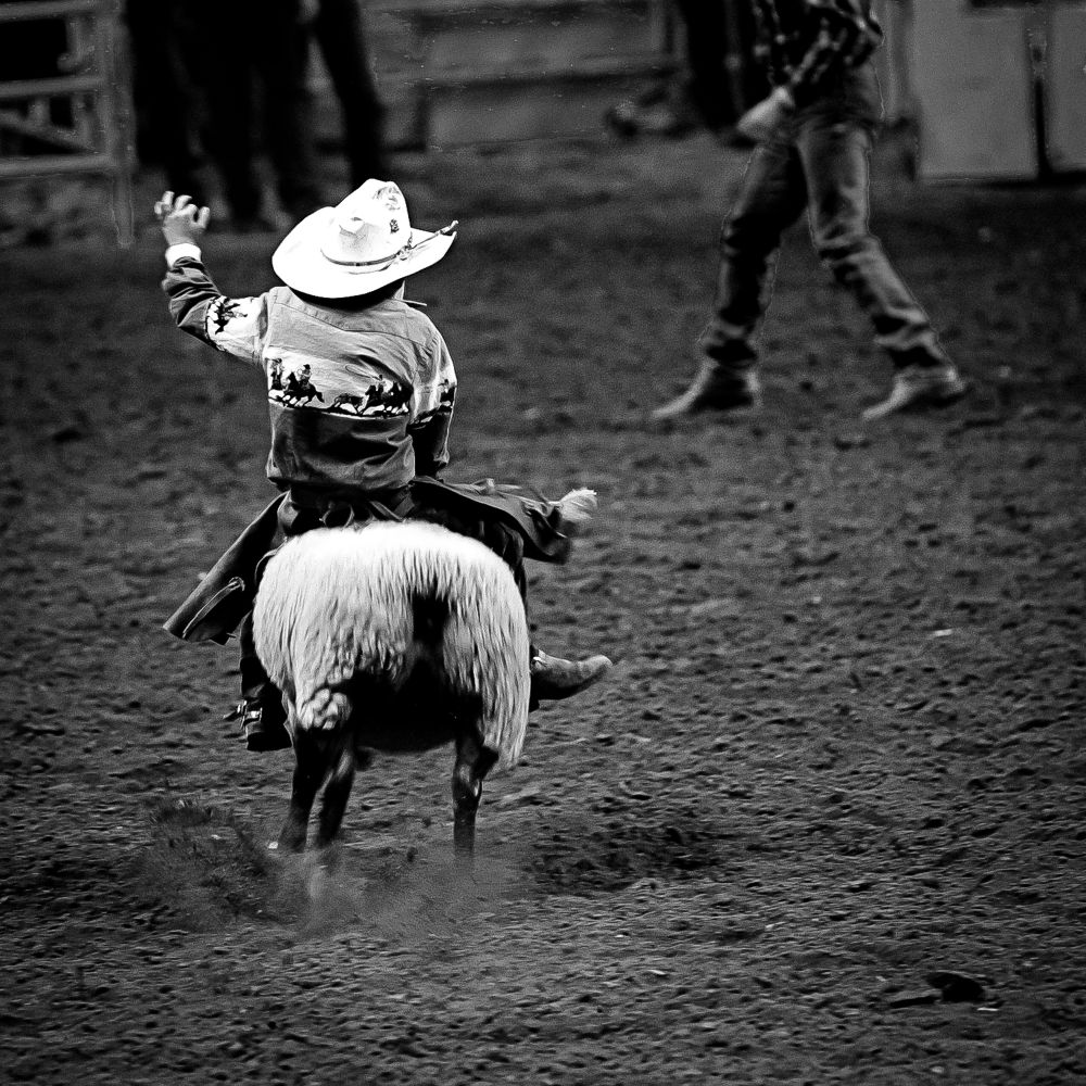 A Night At The Rodeo