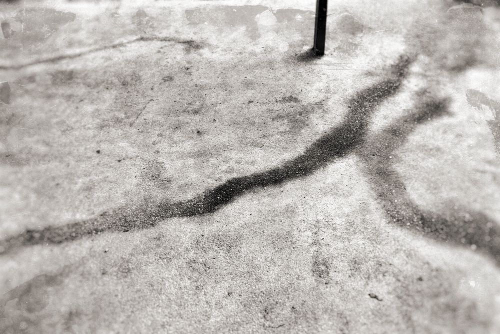 Surface 