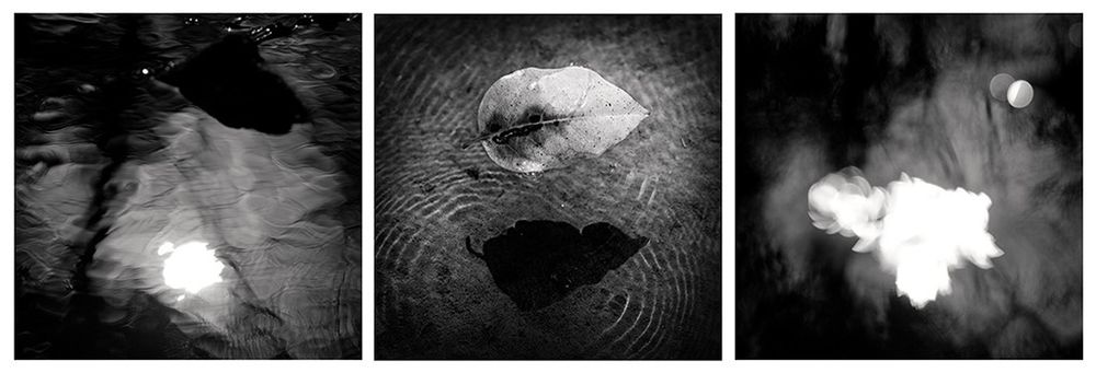 Ripples and Reflections