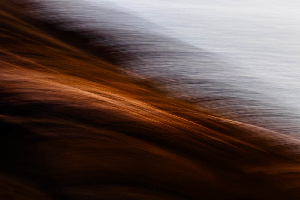 Nature | Florals | Abstracts