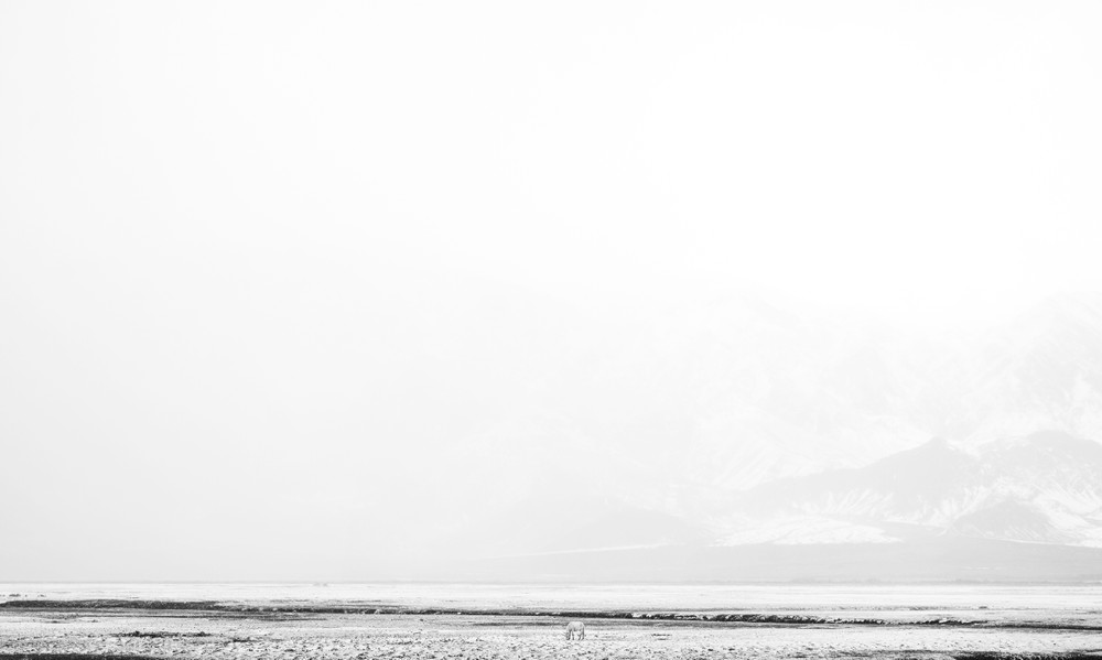 Snow Field Variations