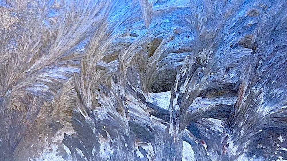 Something Blue - Emerge Gallery