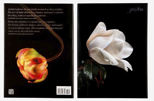 LensCulture Editor Review