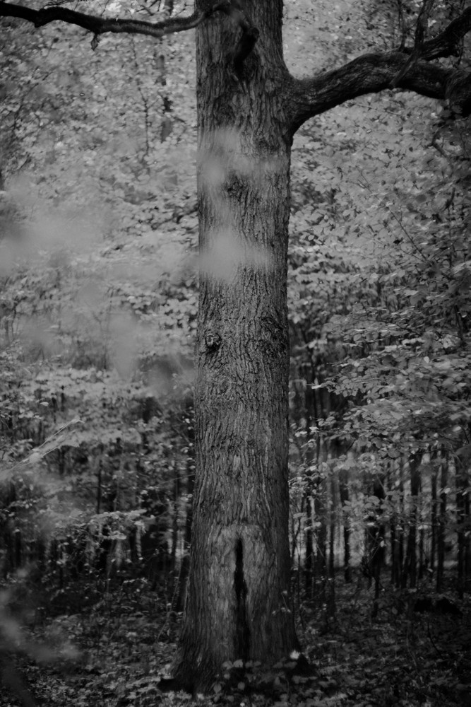 Sacrum / sacred