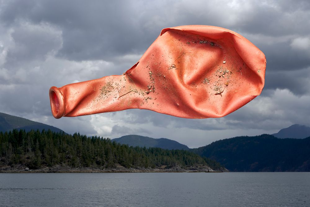 TRASH CANADA HIGHWAY PROJECT