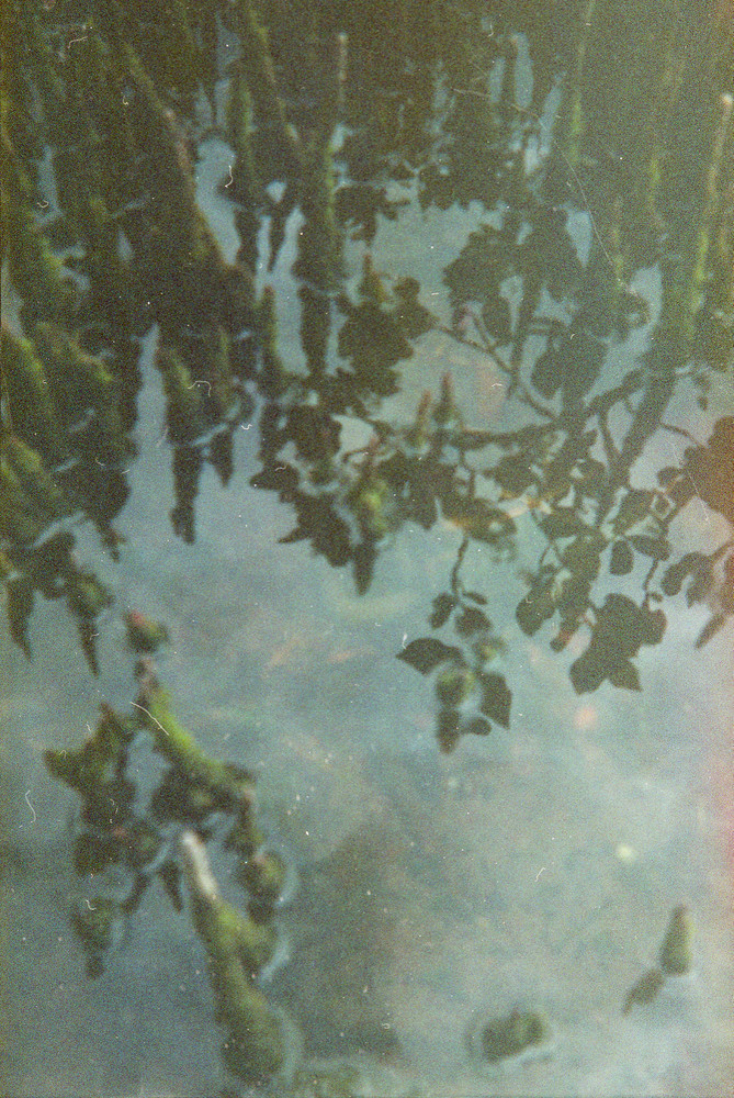Liminal - (Tāmaki River)