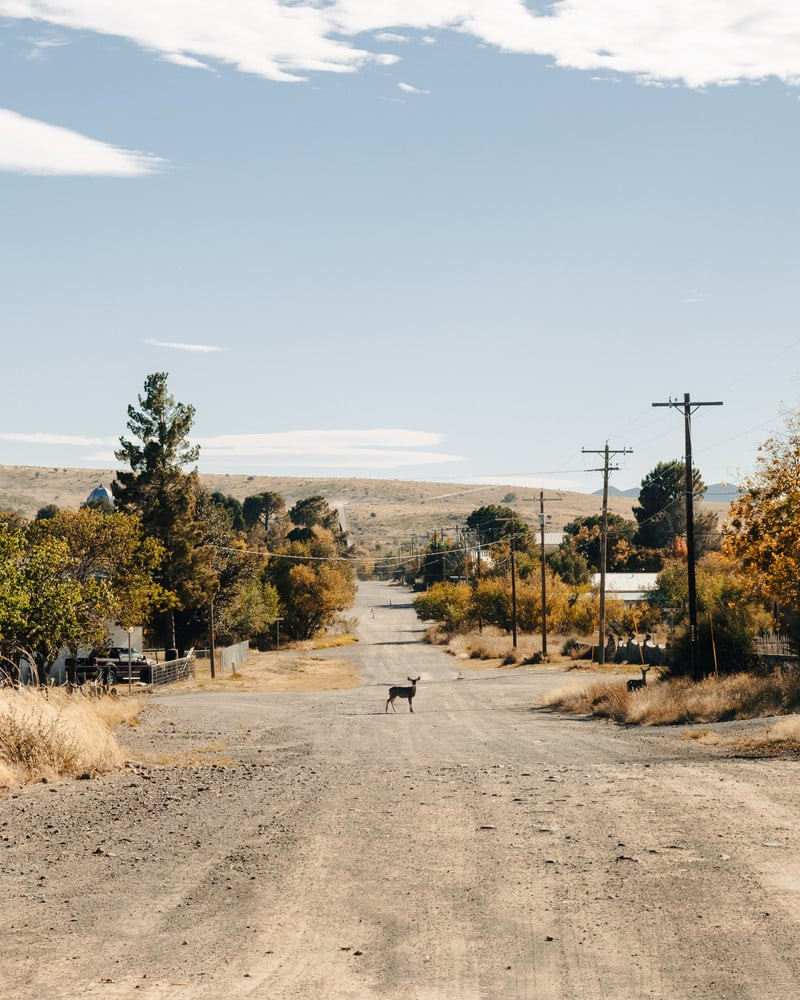 Untitled Self Portrait © Ariana Gomez