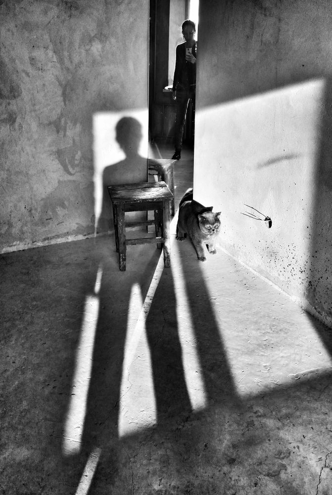 auto-portraits