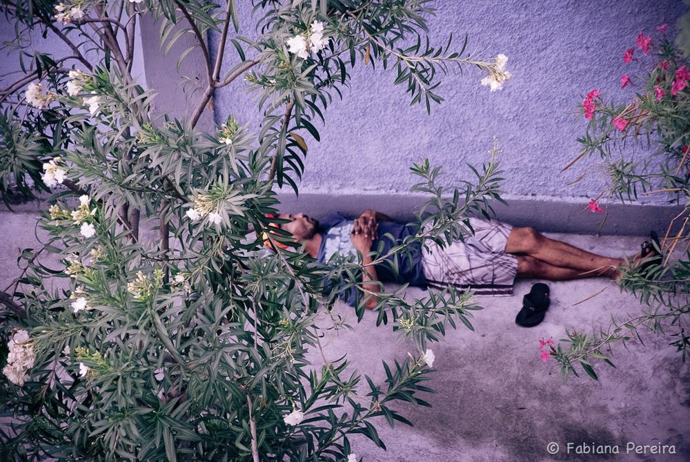 Homeless love