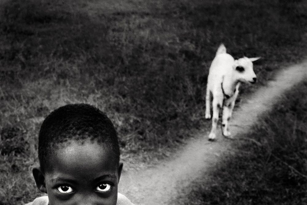 Portfolio Category - Portrait Awards 2014
