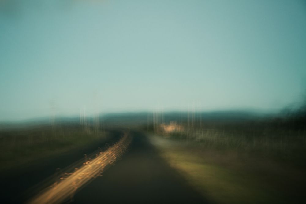 Landscapes in Motion