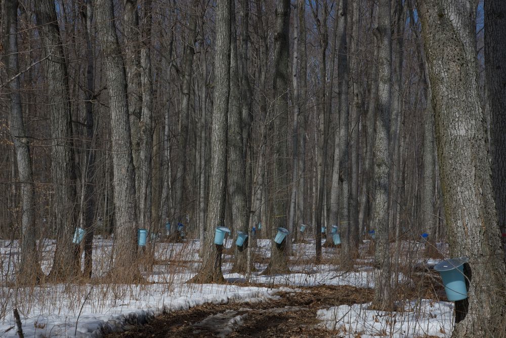 Some things to do in Prince Edward County