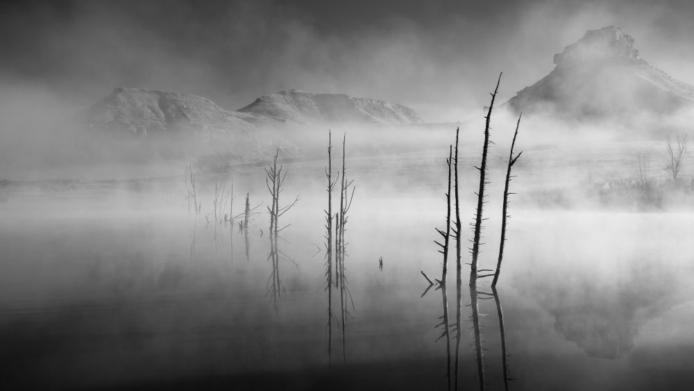 Mono Moments