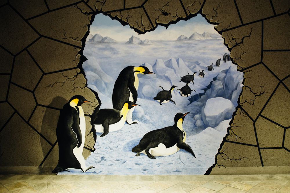 Penguin