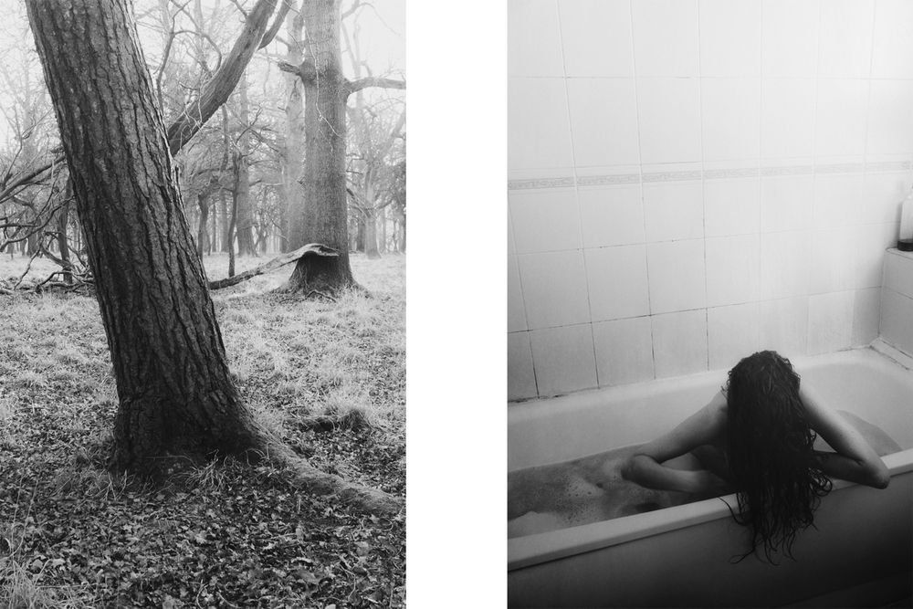 Diptychs from ongoing series, set II