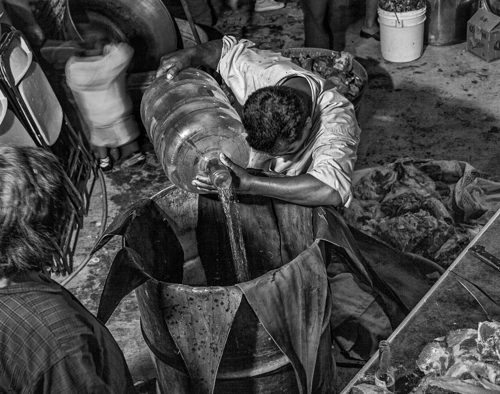 Los Chilolos de Allende