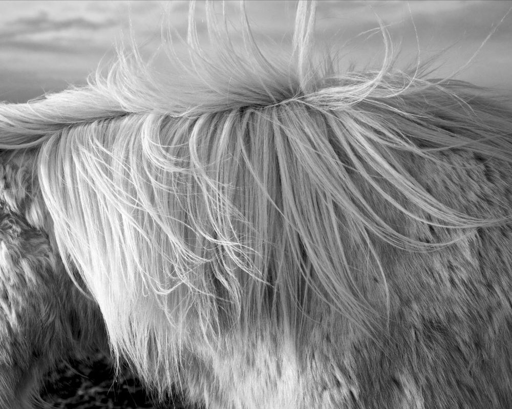 LensCulture Editor Review