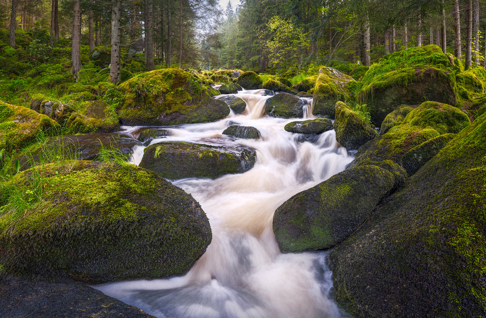 Waldviertel