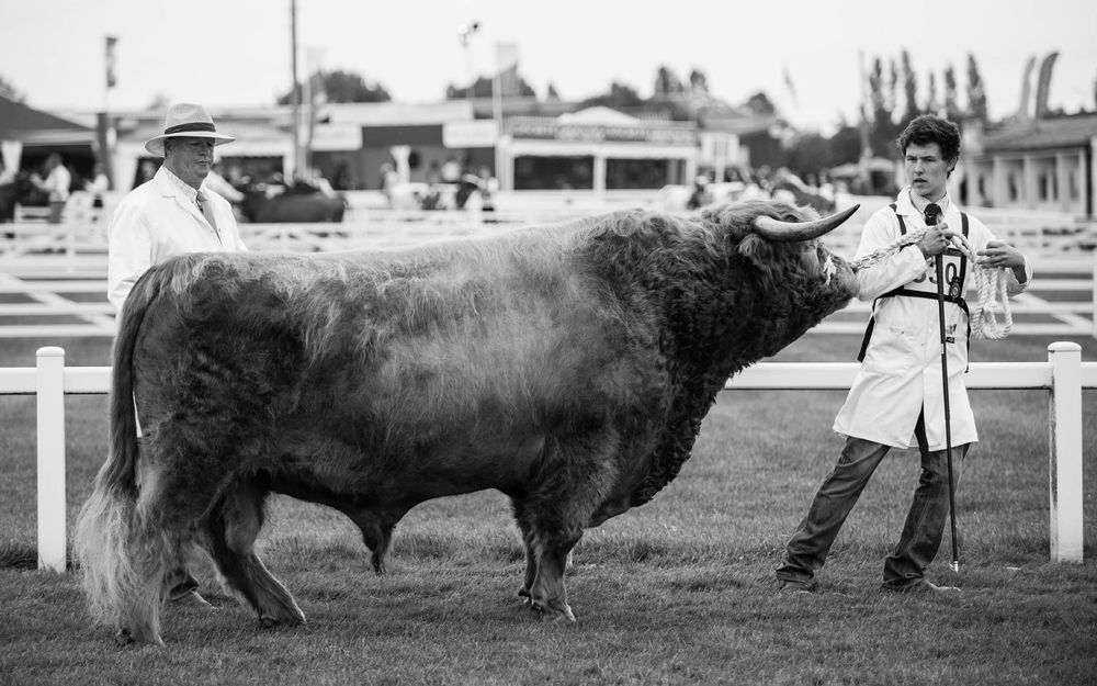 The Country Show