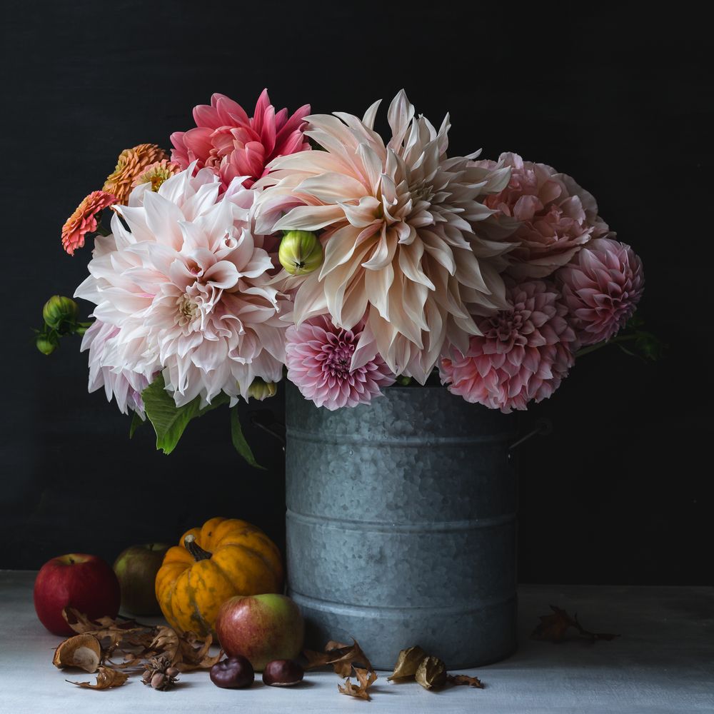 Floral stories