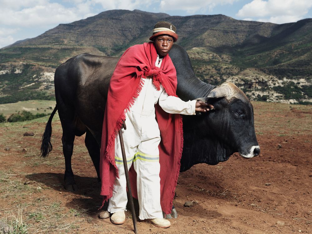 The Herder Boys of Lesotho