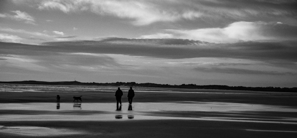 Northumbrian Coast