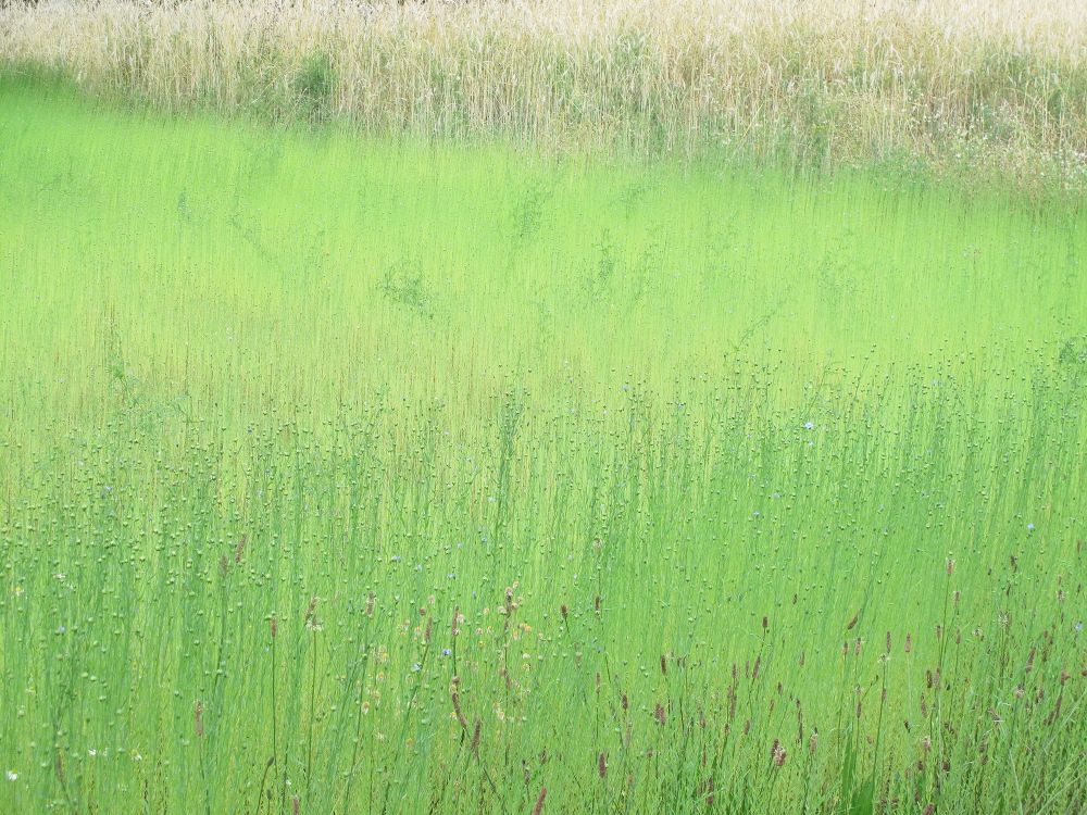 Landscape Cartography - Nature