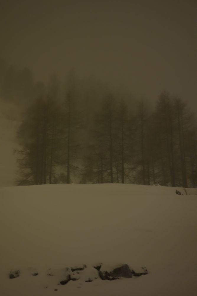 The winter series
