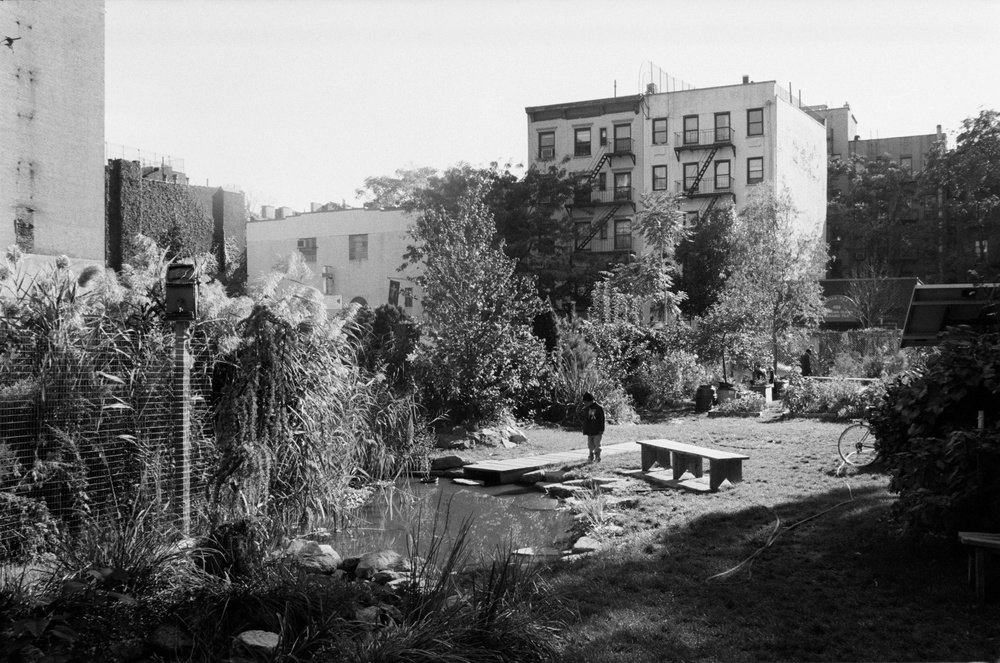 Urban Wild Worlds