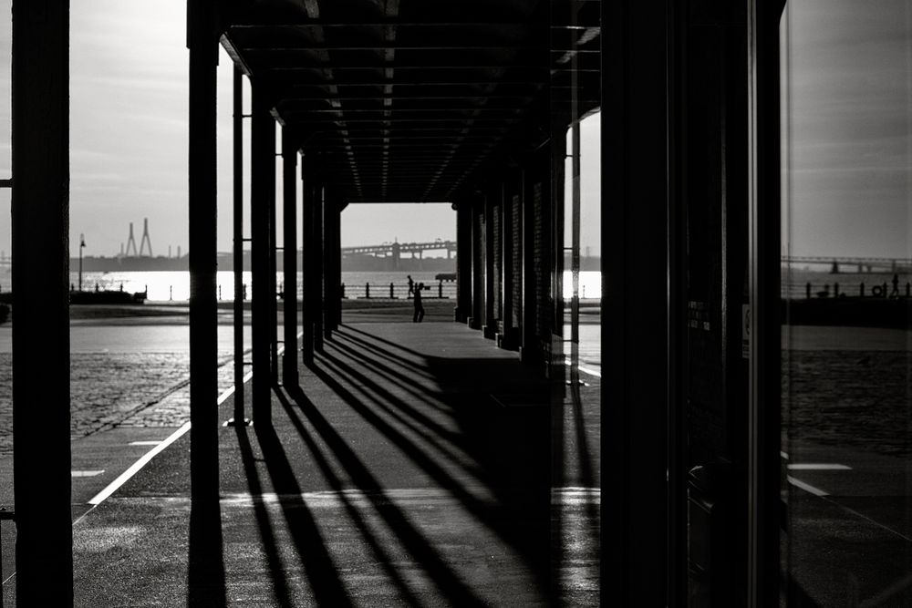 Looking for something fragile but beautiful