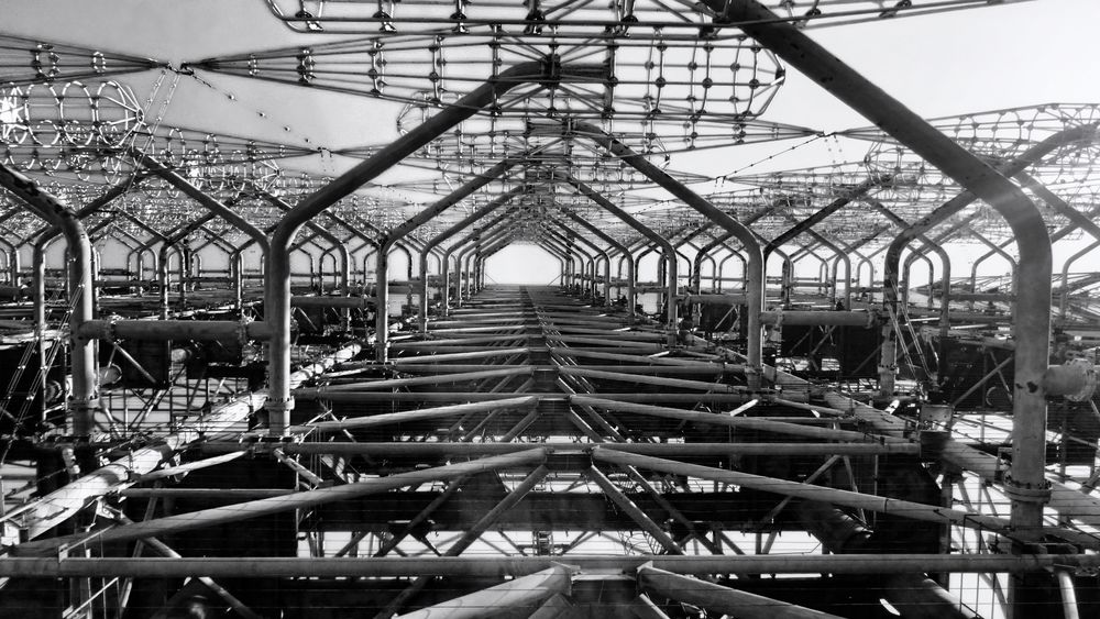 Russian Woodpecker