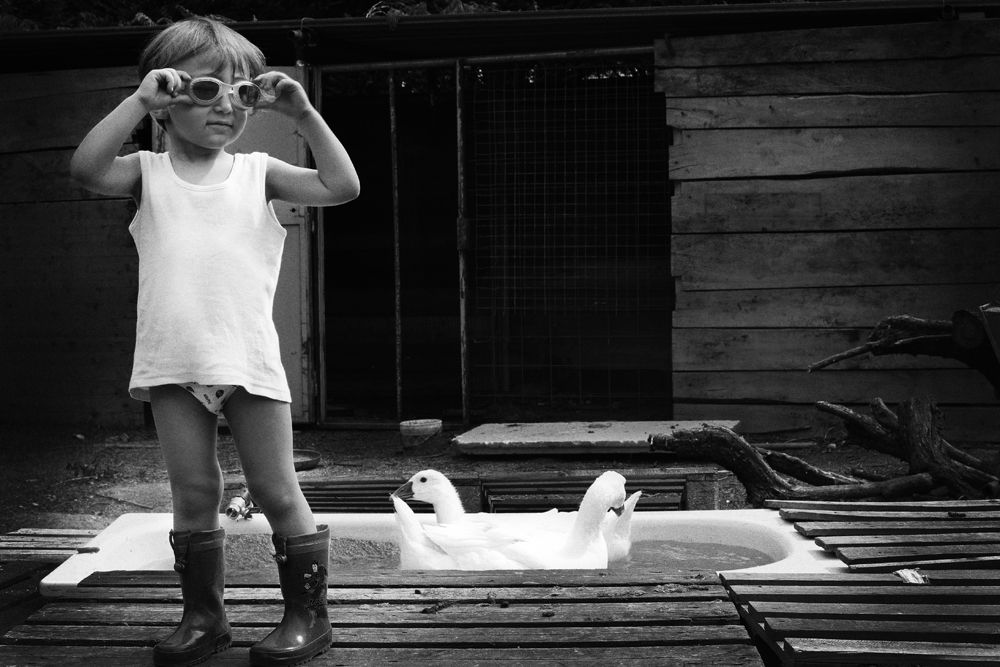 Country Life 