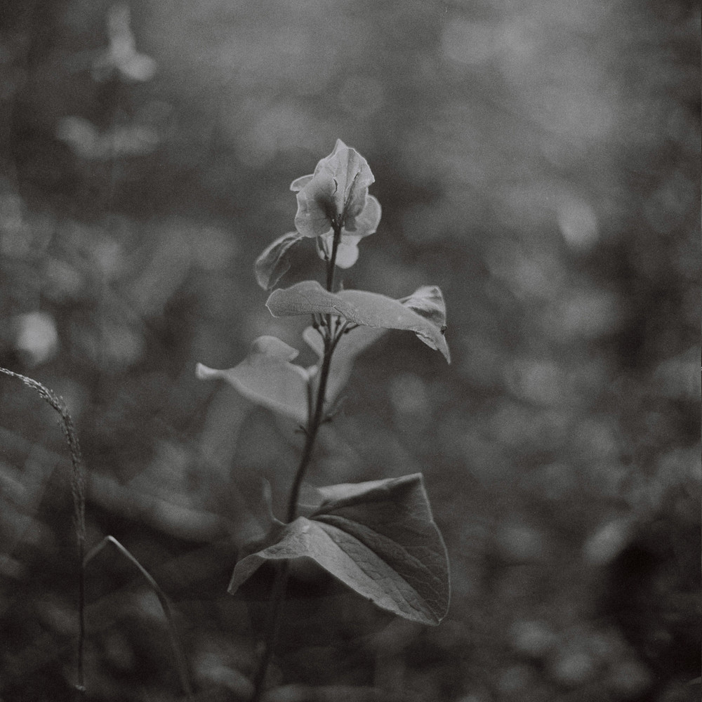A few moments of last summer.