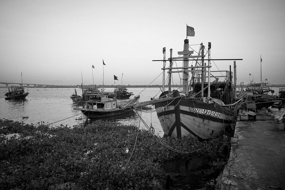 Busy Faifoo's Horbour