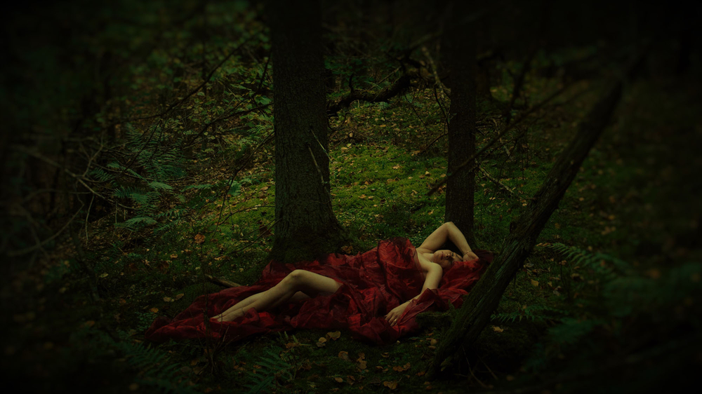 In the Enchanted forest