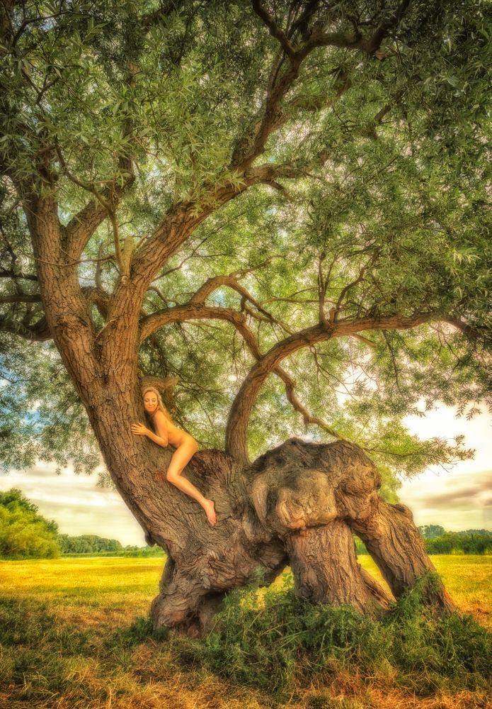 TreeGirl: Intimate Self Portraits with Wild Nature