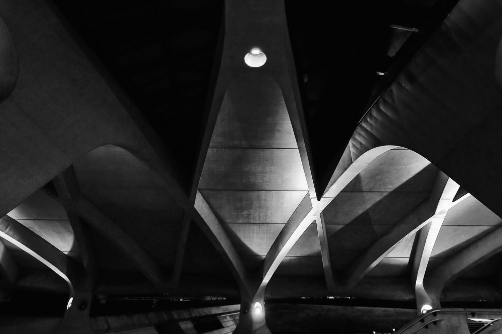 Dans les formes de Calatrava - In Calatrava's Forms