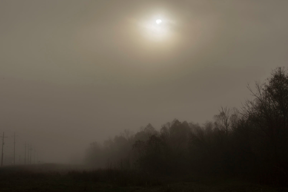 Sunrise at the Chalmette Battlefield