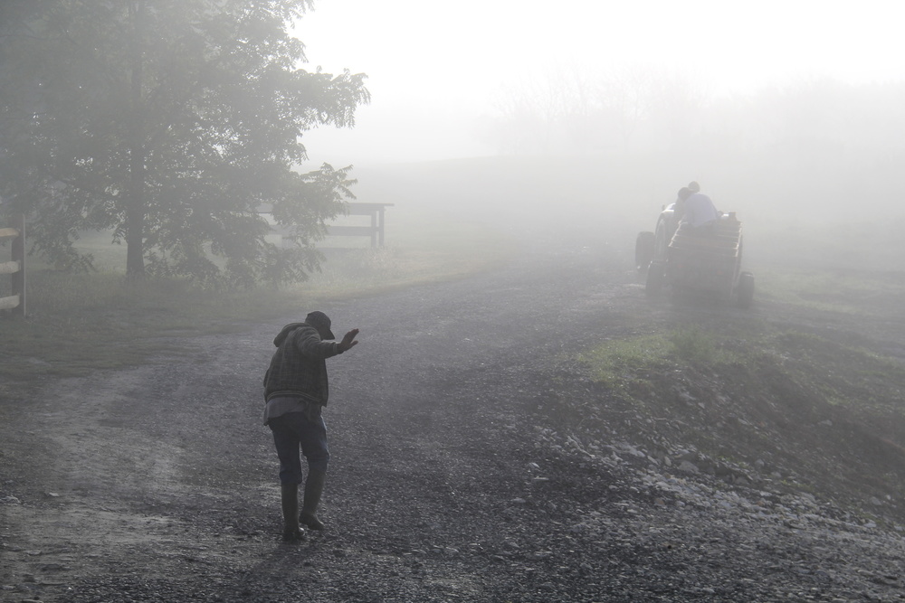 Apple orchard harvest: From farm to plate, Champlain Valley Vermont