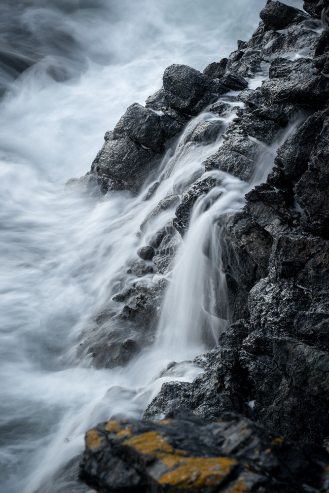 At the Water's Edge 