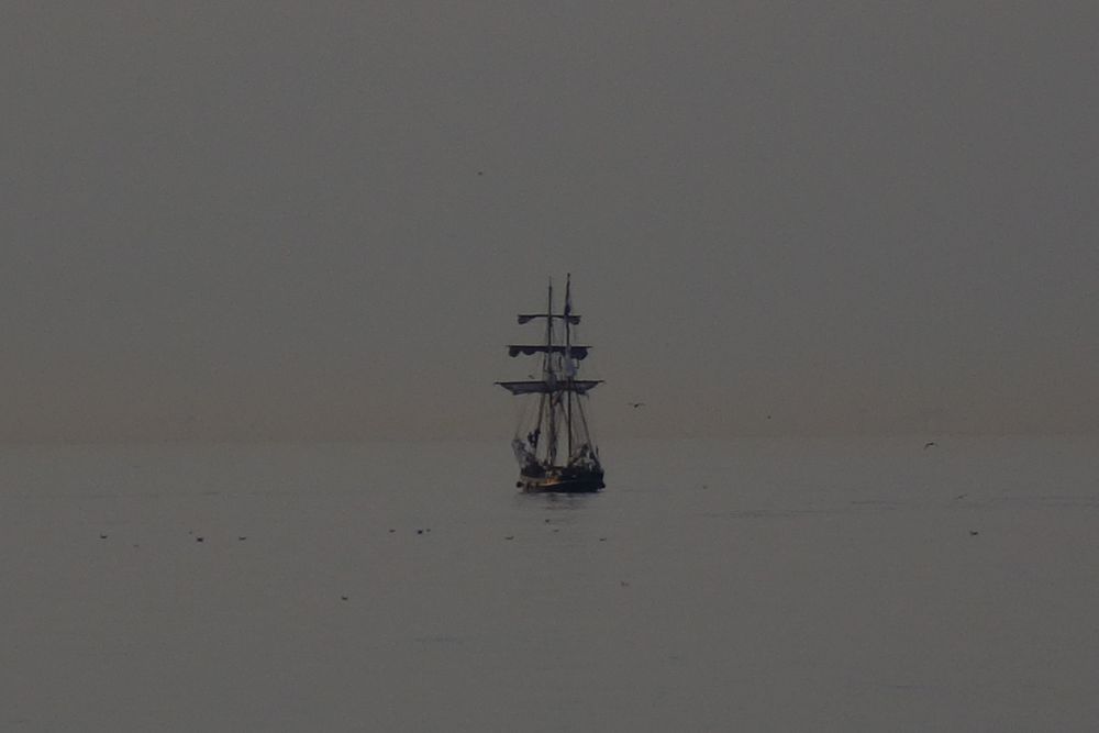 sailer | discovered by K (unedited)