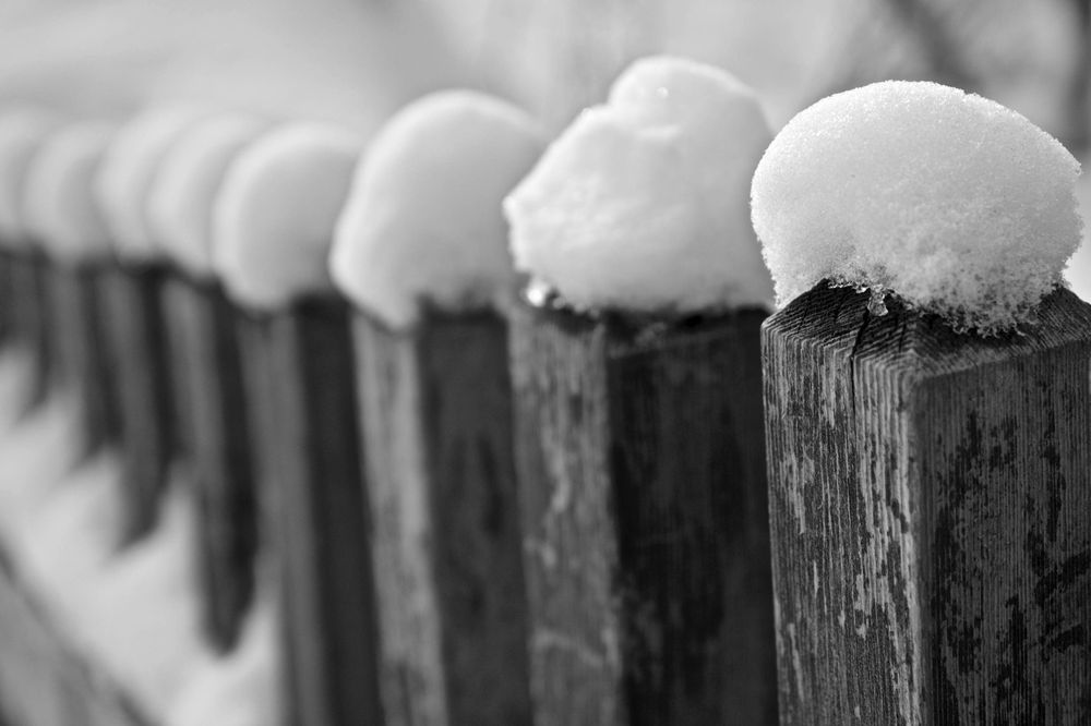 Reflecting on Snow