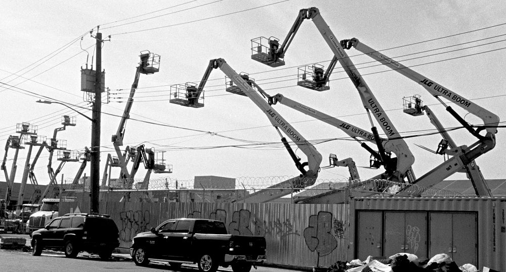 The Cranes Of Bushwick