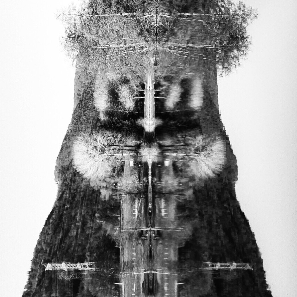 La Nature a Des Yeux - Nature Has eyes