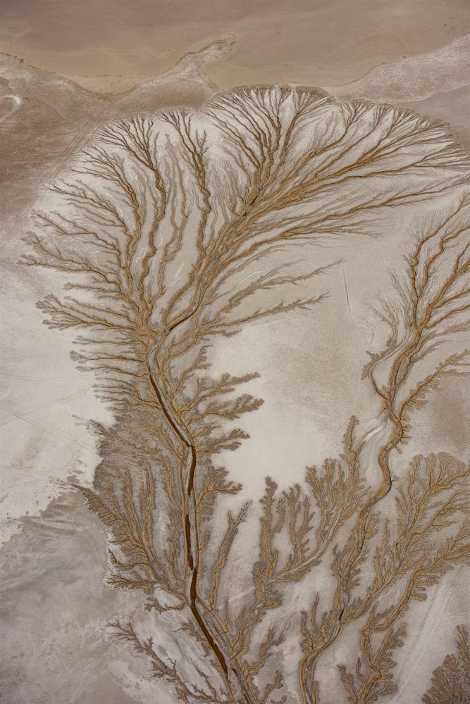 The Art of Nature