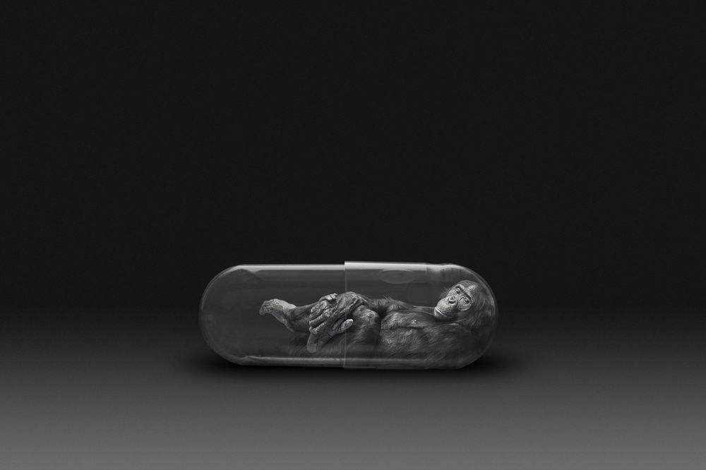 Lifepod