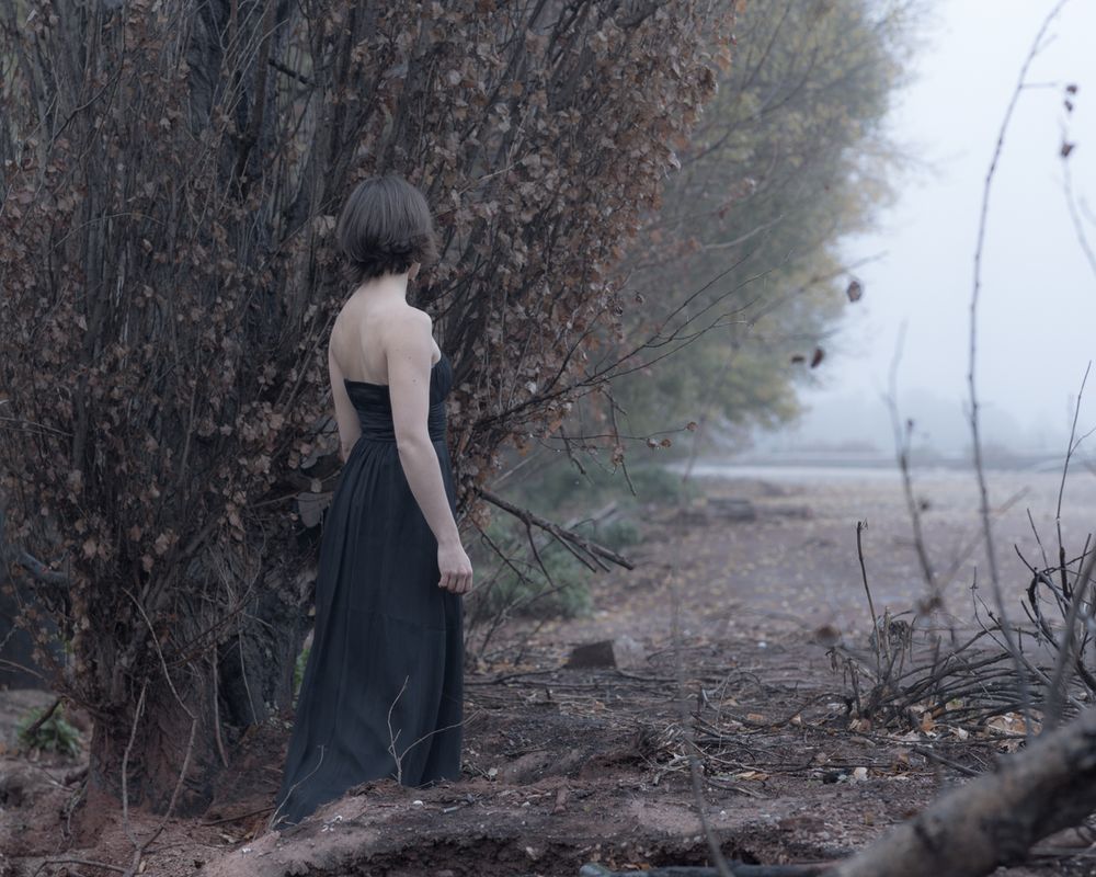 Tears of Ashes