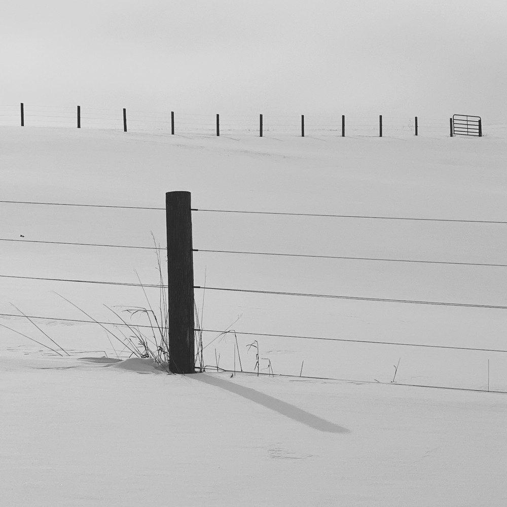 Wisconsin Farm
